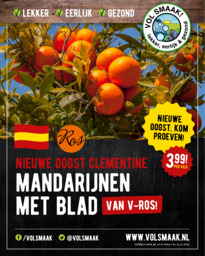 Mandarijnen clementine  met blad