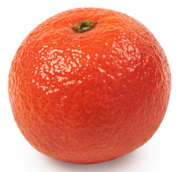 Mandarijnen Clementine Tango