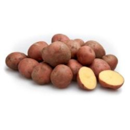 Aardappel Bildtstar 3 kg nieuwe oogst