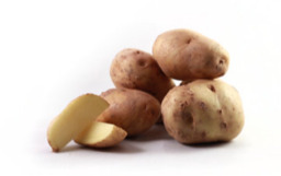 Aardappel Eigenheimer