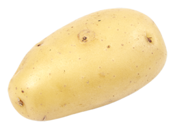 Aardappel kriel gewassen