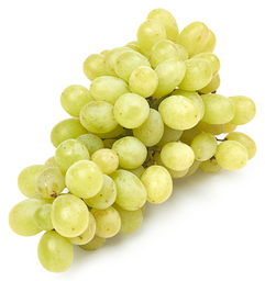 witte  druiven doosje 