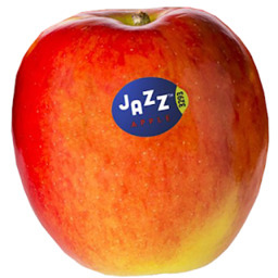 Jazz appel