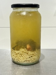 Kippensoep