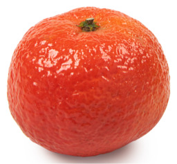 Mandarijn Clementine GROOT p.st.