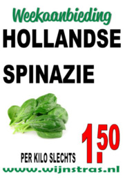 Hollandse spinazie