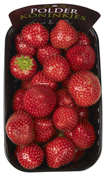 Hollandse aardbeien 500 gr